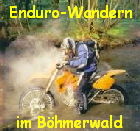 Enduro-Wandern




im Bhmerwald