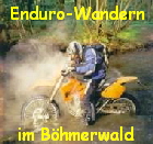 Enduro-Wandern




im Bhmerwald